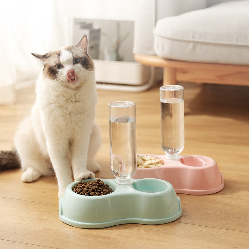 Dispenser Ração e Água KIMPETS para Gatos