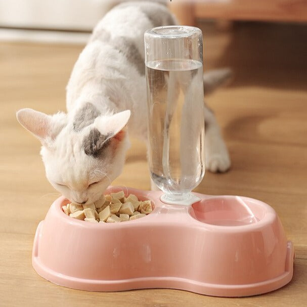 Dispenser Ração e Água KIMPETS para Gatos